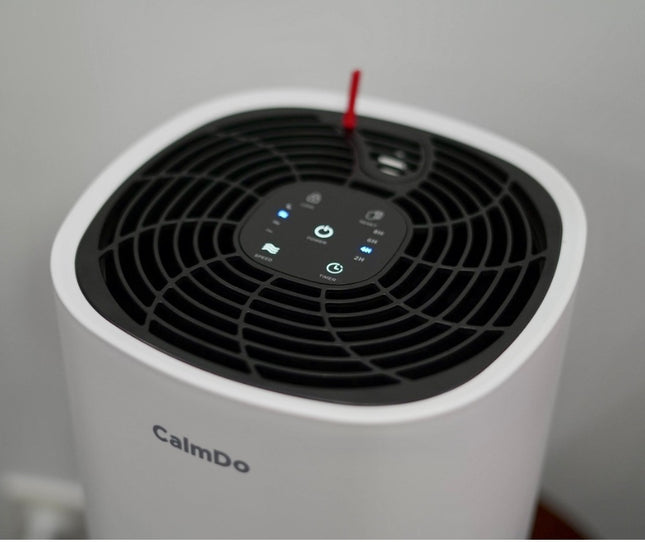 منقي الهواء CamlDo AP002 HEPA