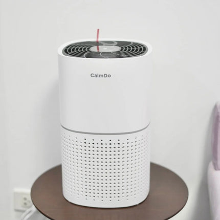 منقي الهواء CamlDo AP002 HEPA